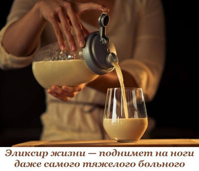 Овес – как эликсир жизни