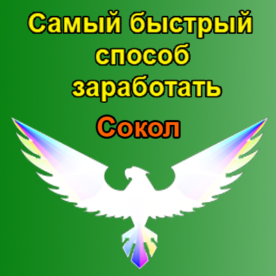 Простой заработок новичку без вложений по системе 'Сокол'